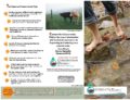 Icon of Riparian Brochure For Web