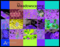 Icon of Meadowscaping Publication Complete LR.2