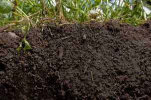 Good soil health practices can prevent topsoil erosion. (Photo: USDA NRCS)