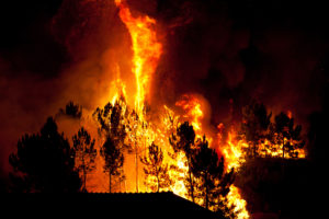 Learn how to protect your home and property from wildfire.