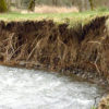 Bank_erosion_Milk_Creek_site-400px