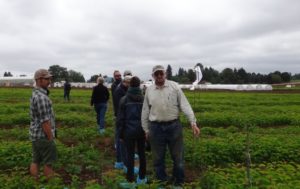 Klock and other District staff attend a field solarization field day tour.