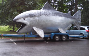 Large model of a Chinook salmon.