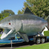 Claudia Chinook photo by Polk SWCD