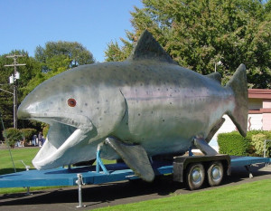 Claudia Chinook photo by Polk SWCD