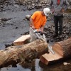 Cutting mating log