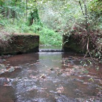 Dam on Corral Creek impeded fish passage.