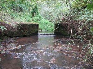 This in-stream dam on Corral Creek restricted passage for native fish.