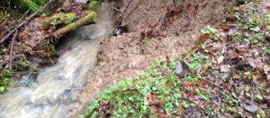 Erosion of soil by surface water - Digger Magazine