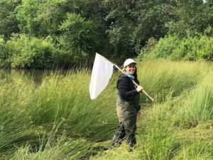 Donahue in the field during a dragonfly survey