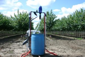 Fertigation through a drip system is efficient and saves water.