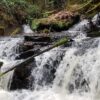 Waterfalls from Greater Oregon City Watershed Council Facebook page