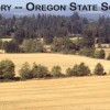 Jory: Oregon's State Soil