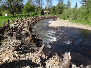 Looking downstream