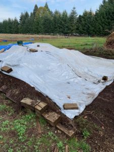 Manure pile covered with silver tarp