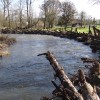 Milk Creek looking upstream - 12/5/2012