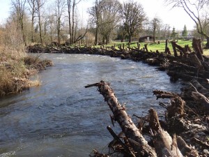 Milk Creek looking upstream - 12/5/2012