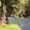 The Molalla River is a popular spot for recreation during the summer.