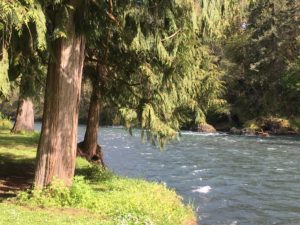 The Molalla River is a popular spot for recreation during the summer.