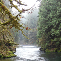 The Molalla River Watershed is one of ten watersheds in Clackamas County.