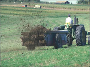 Recycling nutrients build soil structure and organic matter.