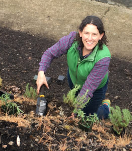 Ahr planting native plants at an Earth Day event.