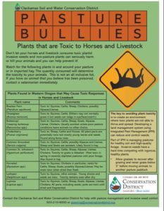 Download the new Pasture Bullies handout on toxic plants.