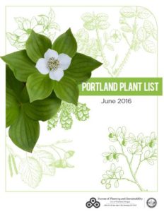 The Portland Plant List is a good resource for selecting native trees and plants.