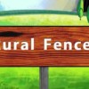 RuralFences2