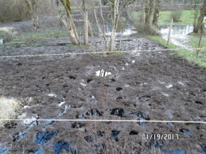 Mud and manure can contribute to poor horse health.