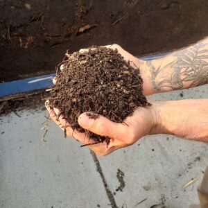 Two hands holding healthy soil.