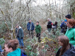 Four County CWMA Spurge Laurel