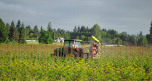 Smart <span style='background-color: #ffff8e'>spray</span>er trials were held at Hans Nelson and Son Nursery in Boring, OR.