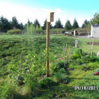 A student admires a newly installed nesting box.