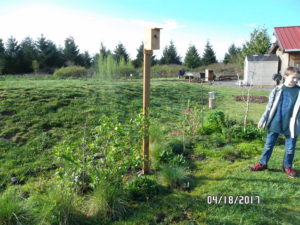 A student admires a newly installed nesting box.