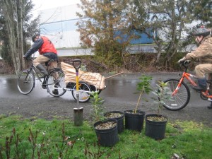 Creative plant delivery