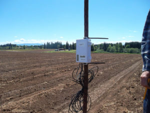 Moisture sensors increase water savings.