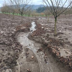 Your orchard, nursery, or farm can benefit from erosion control practices. (Photo: Les Bachelor)