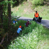 Garlic Mustard Control in Clackamas County  Photo by CCSWCD