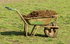 One horse can create 50 lbs of manure in one day!