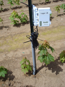 Control for drip irrigation system