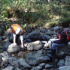 Macroinvertebrate sampling to assess stream health