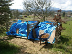 Manure bin system covered with blue tarps