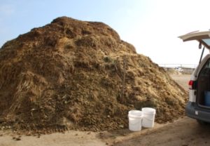 Share composted manure with local farmers or gardeners.