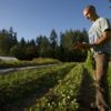 Mat Van Wey at Ridgefield Farm