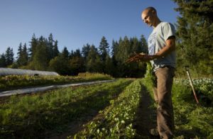 Mat Van Wey at Ridgefield Farm