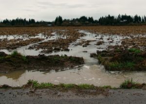 Don't lose your valuable soil to erosion. (Photo: Les Bachelor)