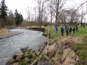 Riparian zones are the "river bank" and adjacent land along rivers, creeks, and streams.