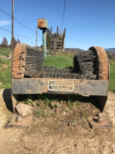 Clean your boots and your equipment to reduce the spread of invasive weeds.